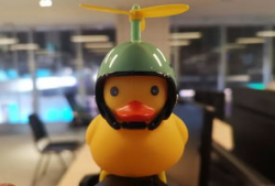 吃瓜爆料小黄鸭图片大全,吃瓜爆料图片大全大揭秘